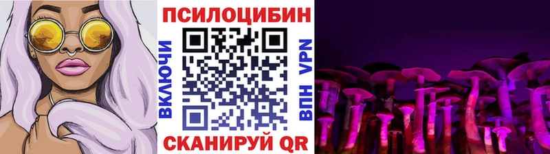 площадка состав  Зверево  Псилоцибиновые грибы мухоморы 